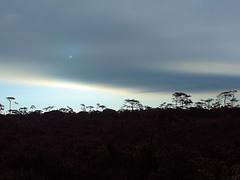 white sun at Phu Kradung