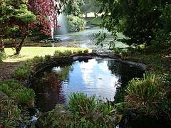 Lovely Sefton Park, Liverpool.