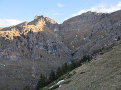 dsc_0268.jpg dsc_0268.jpg
