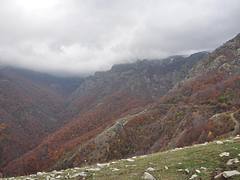 dsc_0686.jpg dsc_0686.jpg