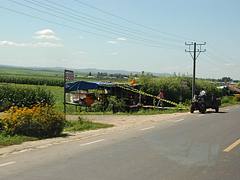 DSC_1091 DSC_1091