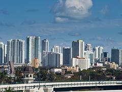 Miami BlueS
