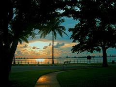 miami sunrise