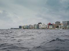 Male City Male City