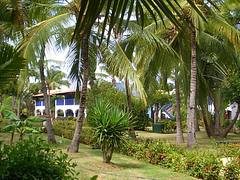 Dominican-Republic - Bayahibe