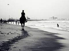 Follow Me | Chennai Marina Beach