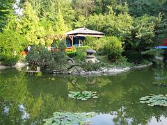 Botanical Garden, Cluj-Napoca, Romania 2008