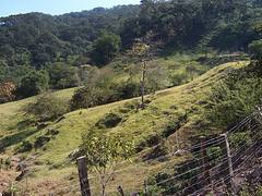 Camino a Minatitlan