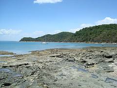 Salvador Nature