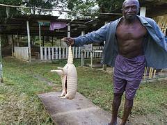 Maroon selling bushmeat on the highway