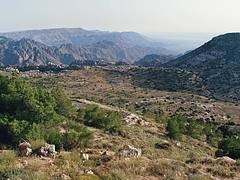 Dana Nature Reserve, May 2010