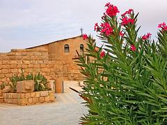 Jordan-17A-050 - Mount Nebo
