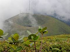 Guadeloupe