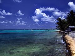 Tuvalu - Funafuti - Beach #2