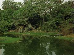 Abuko Nature Reserve