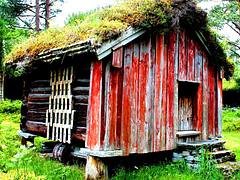 Norwegian Log cabin #viking #dailyshoot #Molde