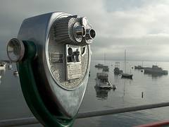 Peer on the Pier
