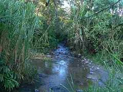 Mindo countryside