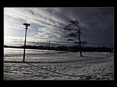 Chaotic Harmony of Cold Chaotic Harmony of Cold