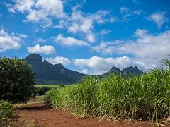 Mauritius Nature Mauritius Nature