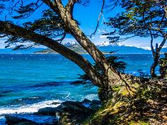 Tierra del Fuego - Argentina