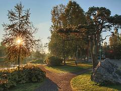 Morning in Karjasilta
