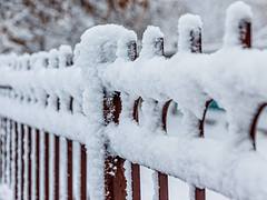wet snow wet snow