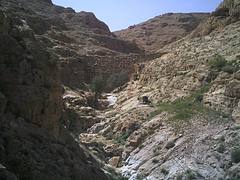 Nature in The Vicinity of Mar Mousa Monastery