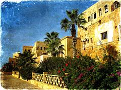 Middle Eastern dreams