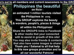 Philippines news flickr.com/groups/philippinesthebeautiful/