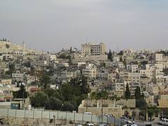 City of David
