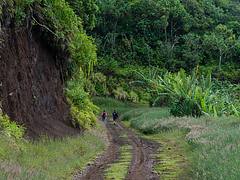 tahiti_240513_758.jpg tahiti_240513_758.jpg