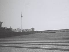Nanjing Memorial on film