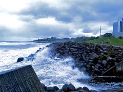New Plymouth - Coastal Walkway II