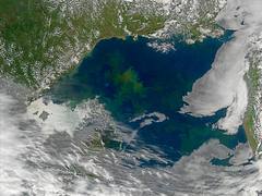 Phytoplankton in the Sea of Okhotsk