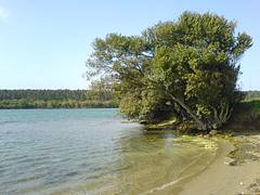 Hamsiloss