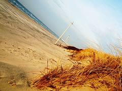 Dynamic shores Dynamic shores