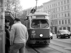 vienna