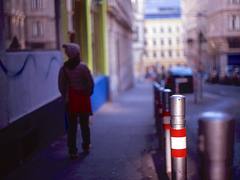 vienna