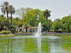 Tunisia-2687 - Belvedere Park