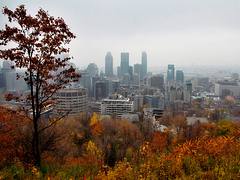 Montreal Downtown