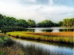 Heron Lake