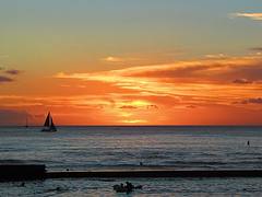 Waikiki Coast, Honolulu (503609)