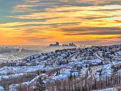 Foggy Calgary