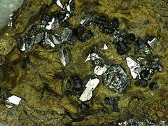 Sperrylite in platinum-copper ore (Permian-Triassic boundary time, 251 Ma; Norilsk Mining District, Krasnoyarsk, northern Siberia, Russia) 1