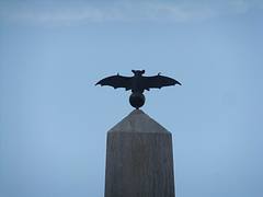 Bat of Palma