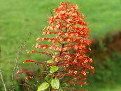 2015-12-10_09-57-35_ILCE-6000_8373_DxO
