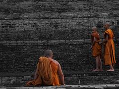 novice monks