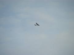 DSCN0121 (303026524)