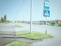 Summer countryside